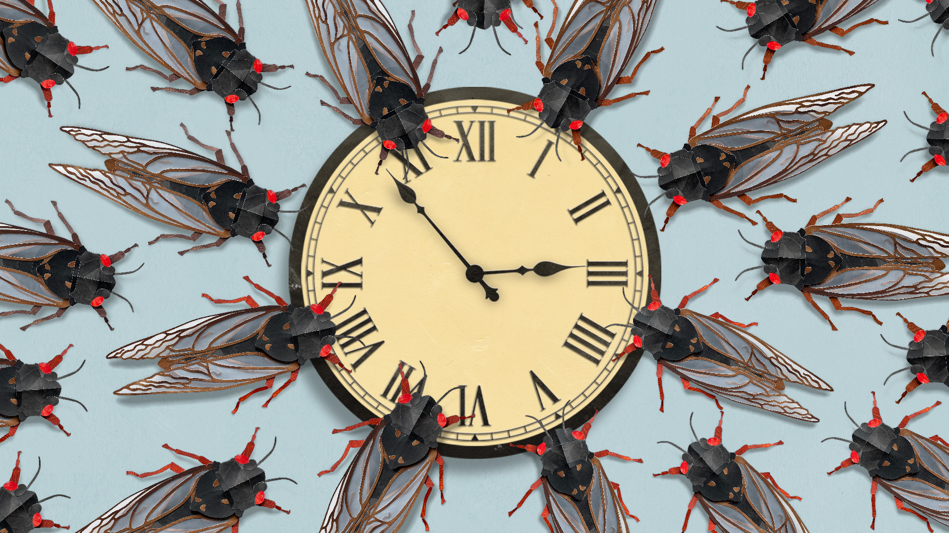 Illustrated collage of red-eyed periodical cicadas arranged around a clock face
